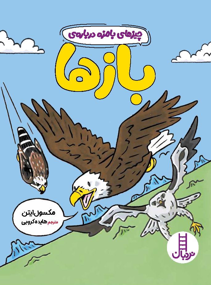 چیزهای-بامزه-درباره-ی-بازها