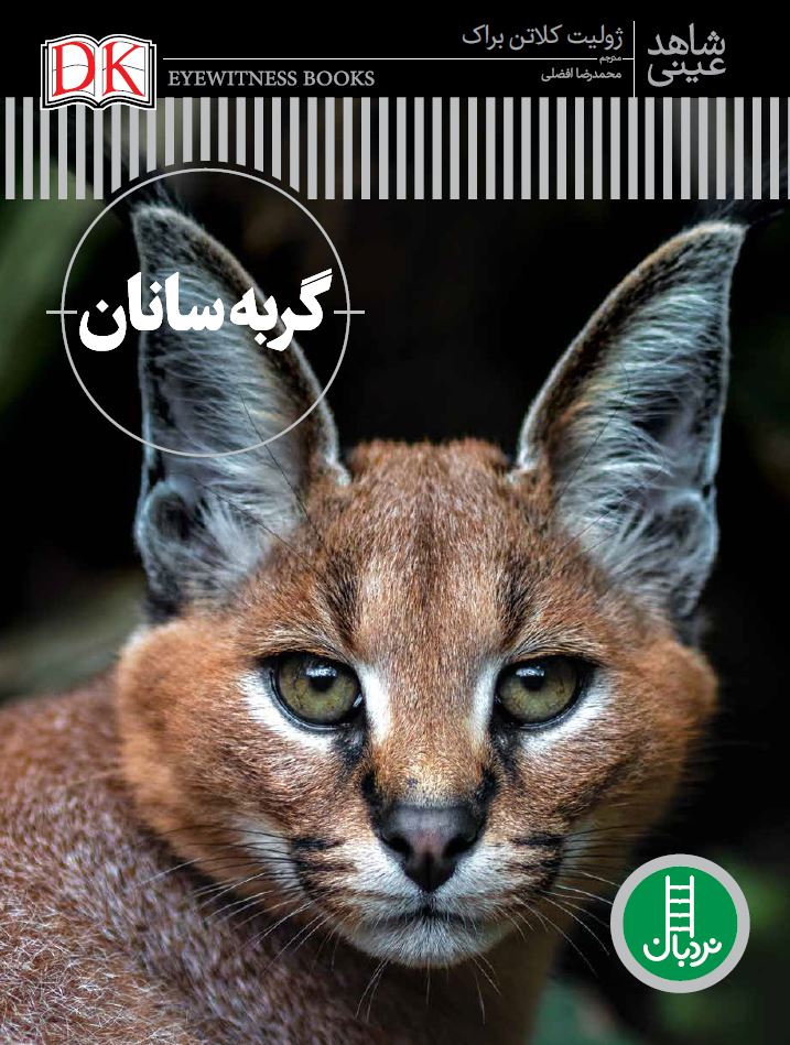 گربه-سانان